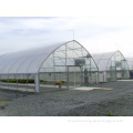 Low Cost Greenhouse With Poly Film and Galvanized Steel Frame